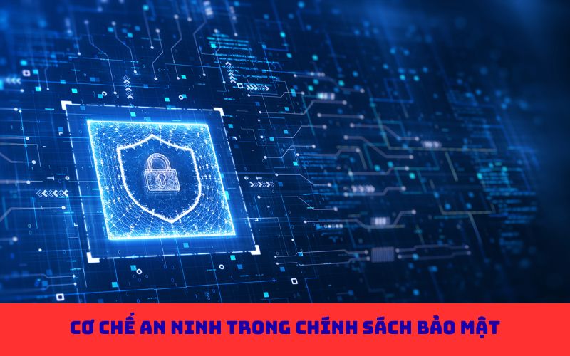 Chính sách bảo mật và cơ chế thu thập dữ liệu