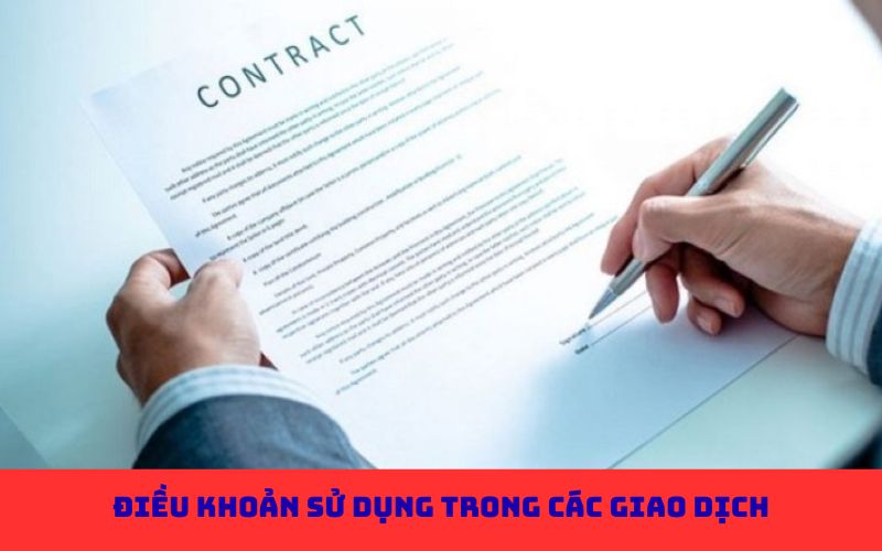Điều khoản sử dụng quy định đăng ký tài khoản