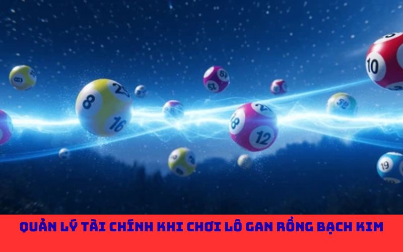 Quản lý tài chính khi chơi lô gan Rồng Bạch Kim
