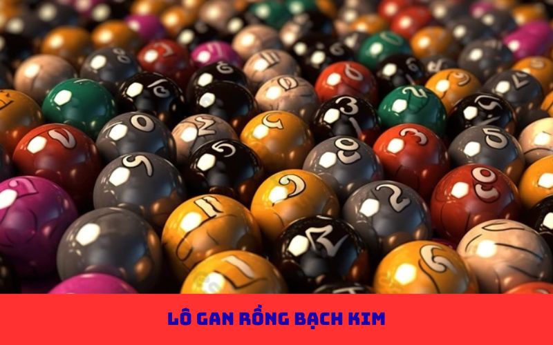 lô gan rồng bạch kim