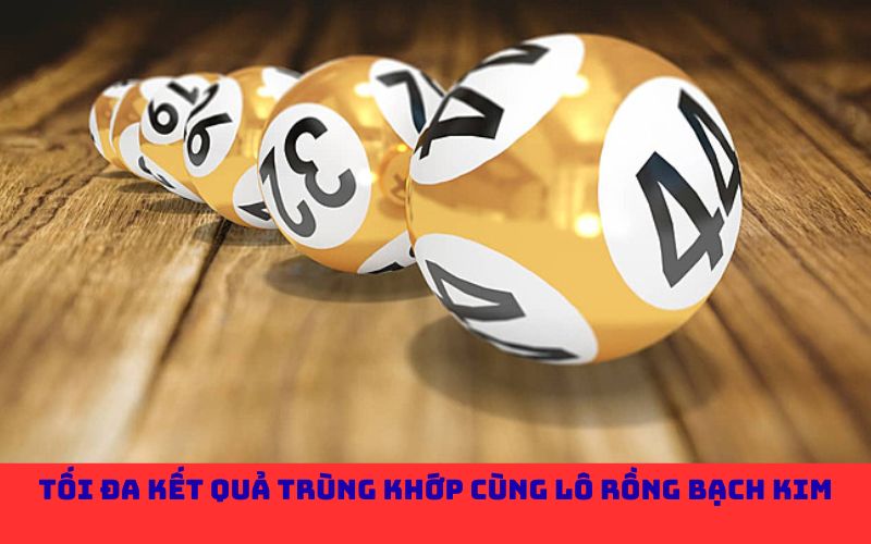 Tối đa kết quả trùng khớp cùng lô rồng bạch kim