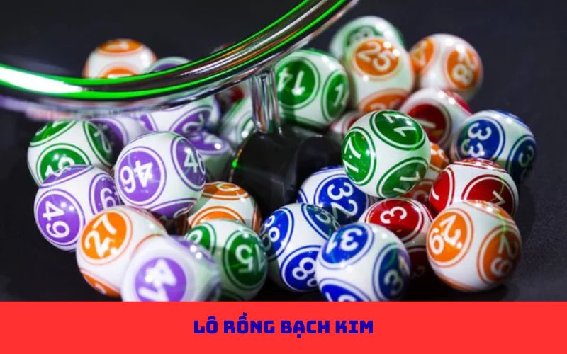lô rồng bạch kim